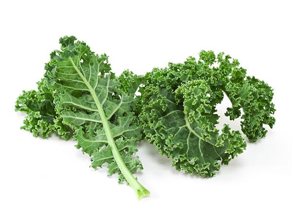 A few strands of kale leaves used for cooking